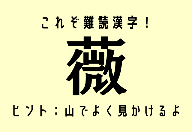 これぞ難読漢字！【薇】これ1文字で何と読む？ヒント：山でよく見かけるよ