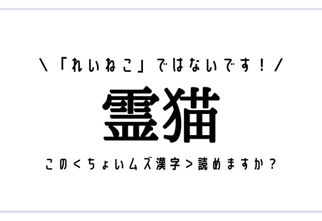 「れいねこ」ではないです！【霊猫】この＜ちょいムズ漢字＞読めますか？
