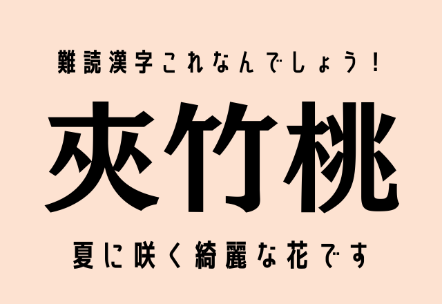 難読漢字これなんでしょう！【夾竹桃】夏に咲く綺麗な花です