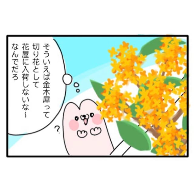 【漫画】「そういえばなんでだろ？」キンモクセイの切花が花屋にない理由って…？【お花屋さんあるある】