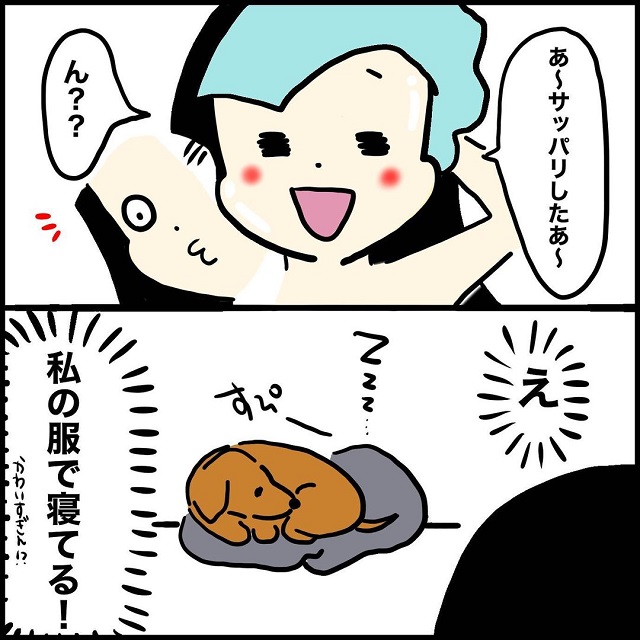 【漫画】「かわいすぎん？」お風呂を上がると、飼い犬は私の服の上で寝ていて…【愛犬のルーティーン】