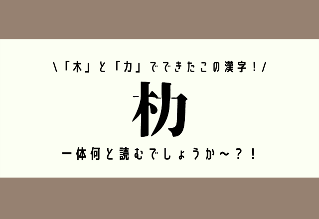 「木」と「力」でできたこの漢字！【朸】一体何と読むでしょうか〜？！