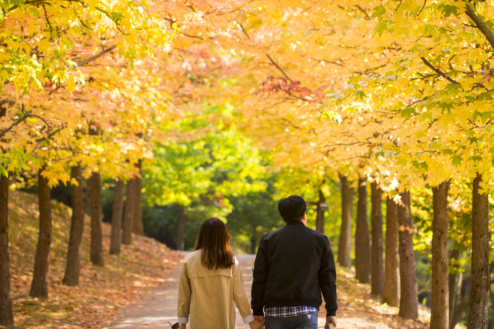 生理痛がMAX！？彼とライトアップされた紅葉を見にいくも…→【悲しい】気持ちに