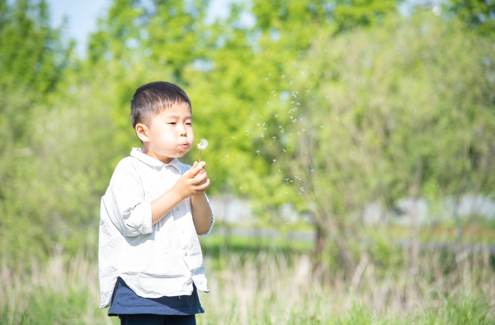 【公園で】ママ「わたげがあるよ。ふーってしてごらん」次の瞬間…→子どもがとった行動に「肩の力ぬける」「思わず笑ってしまった」