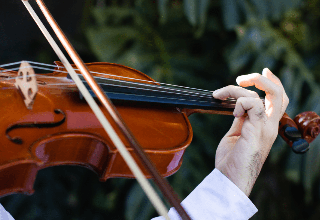 ウィーンを歩いていると…→「すごい！」思わず”立ち止まるの光景”に「さすが音楽の都」