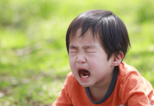 水が大嫌いな息子　2歳を過ぎて”習い事”を始めると⇒「泣いていたのが嘘のよう」水が大好きに！？