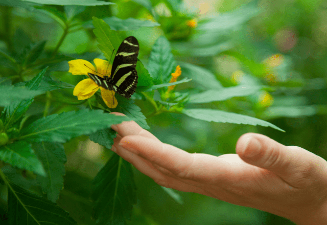 虫が大の苦手な私　洗濯物も外に干せなかったが⇒出産を機に「自分でもびっくり」