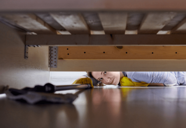 ベッドの下からの「ガサゴソ」と音がして違和感。恐る恐る覗いた瞬間⇒「力が抜けた」「なんとも愛おしい」